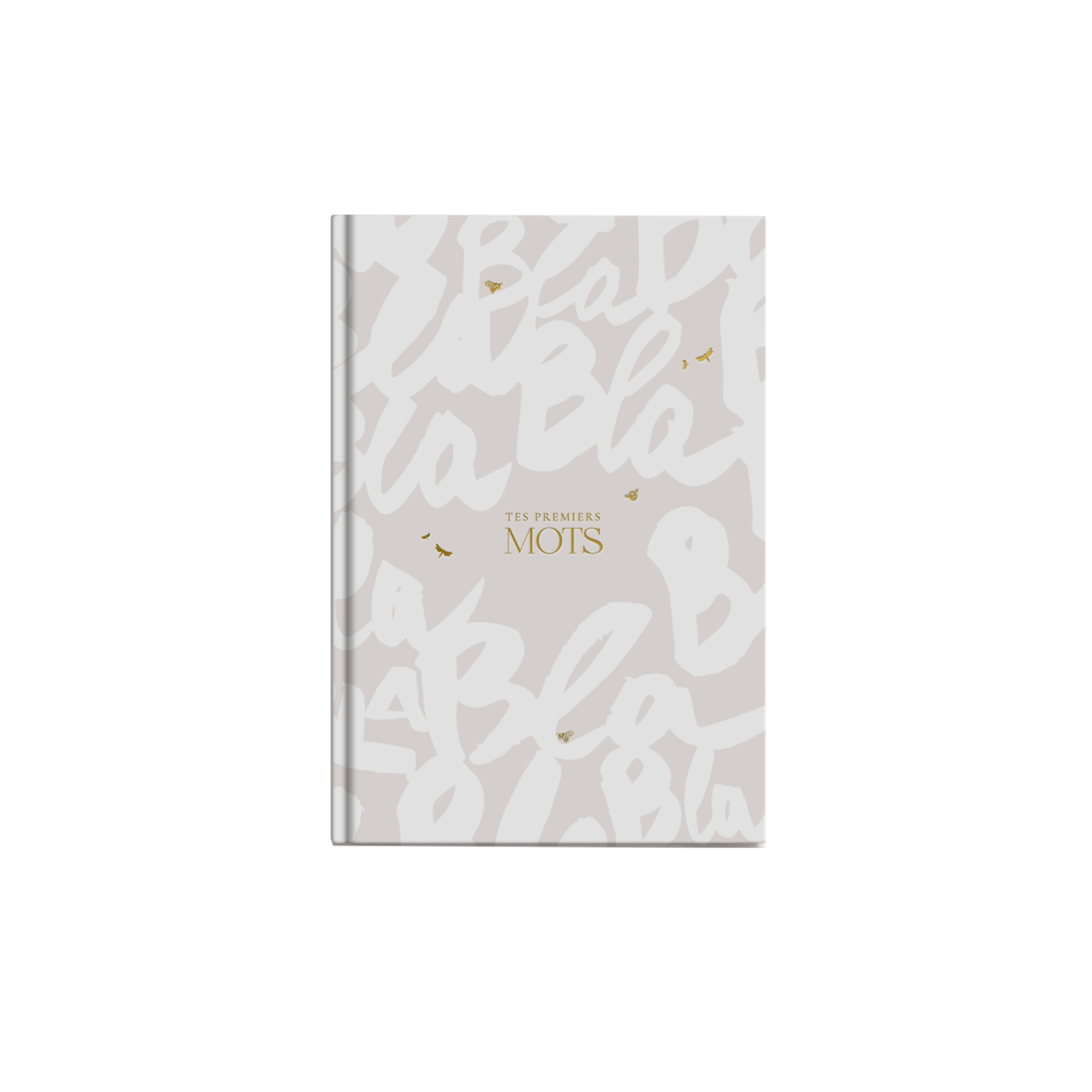 Livre des Premiers Mots