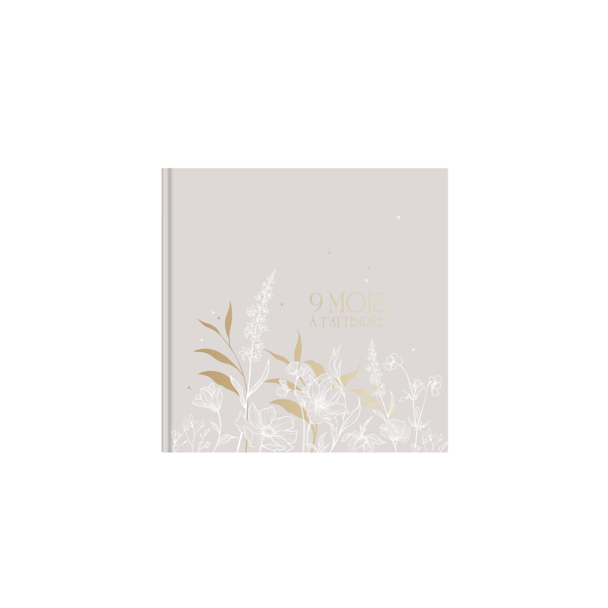 Pregnancy book - french