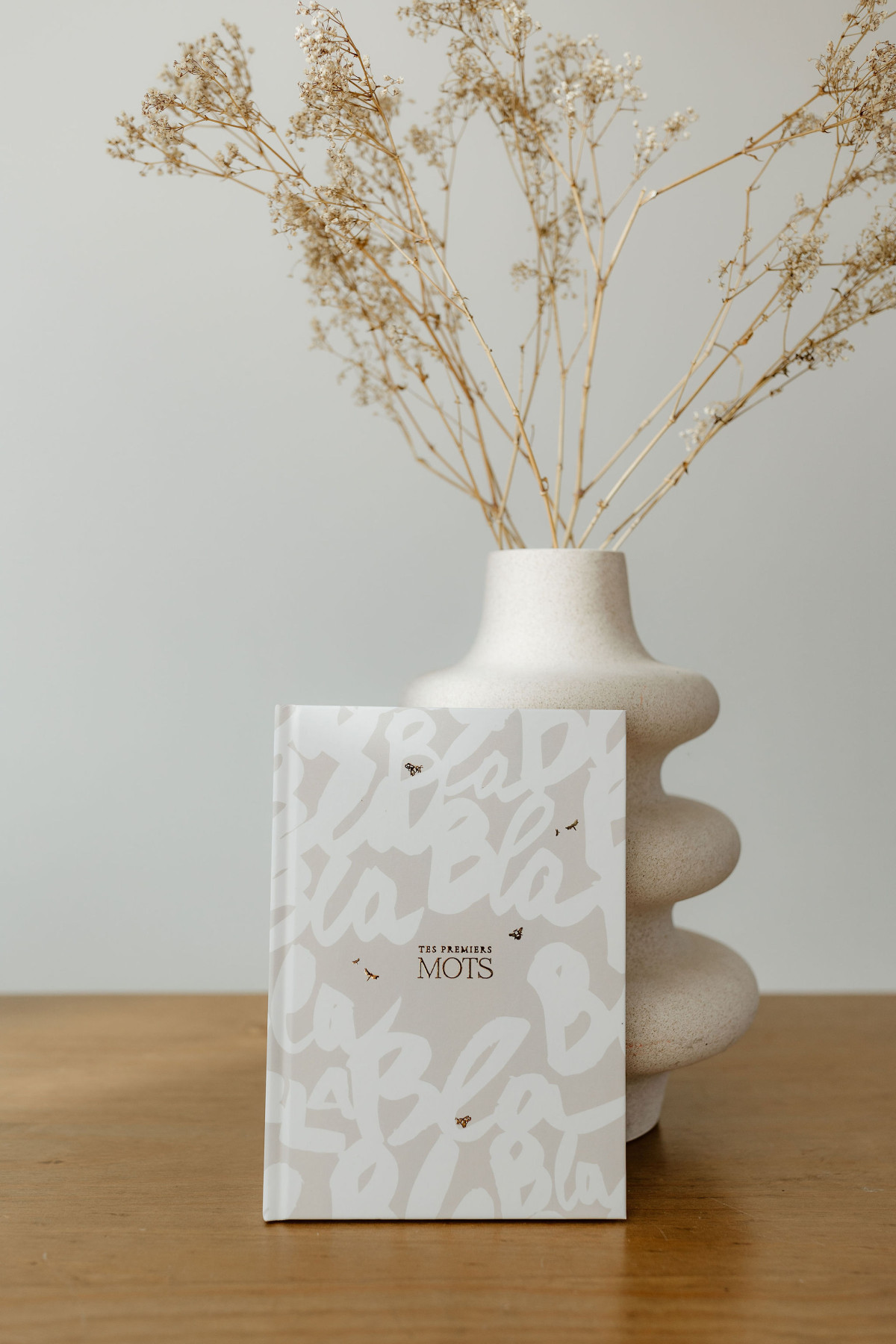 Livre des Premiers Mots