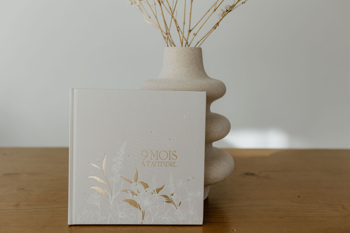 Journal de grossesse